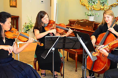 Viva la Vida Tower String Quartet